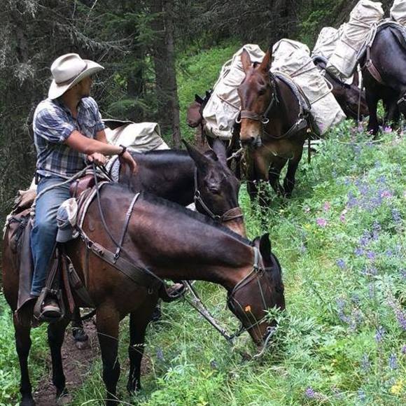 Meet your Posher, Dave - Picture 1 of 1